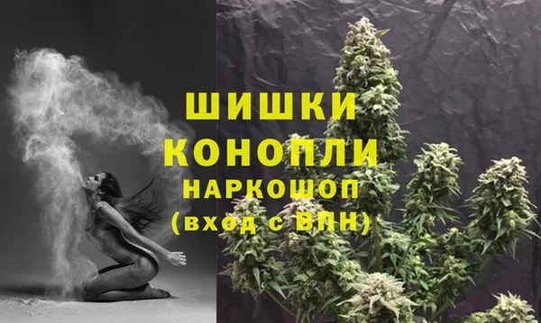 PSILOCYBIN Алексеевка