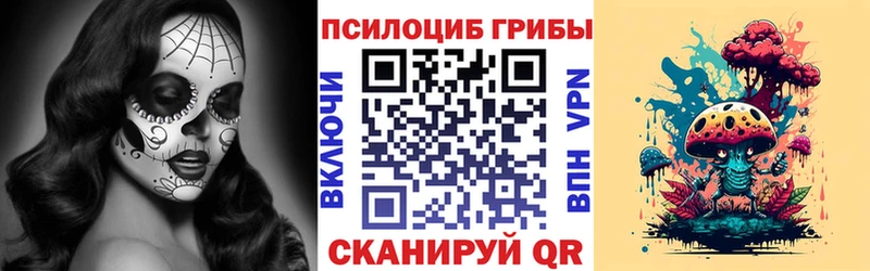 Псилоцибиновые грибы мухоморы купить наркотики цена Белореченск